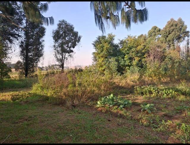 FARM FOR SALE IN NAAUWPOORT